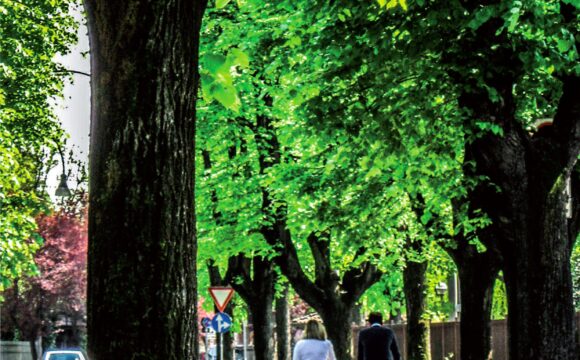 Ecco il numero 1-2021 di Natura e Civiltà Ecco il numero 1-2021 di Natura e Civiltà