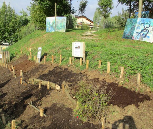 “L’ambiente che vorrei”: Progetto di Educazione Ambientale per le Scuole e non soltanto…