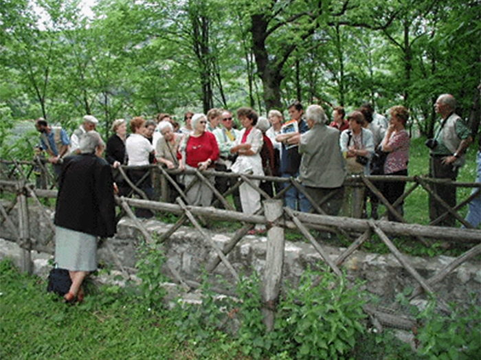 gruppo-isola-cipressi