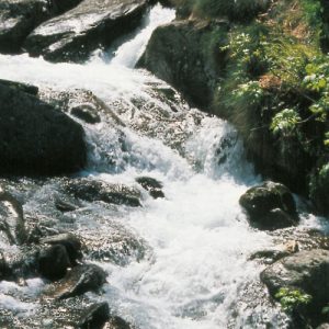 La sorgente del Lambro: la Menaresta