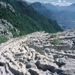 Altri progetti per le aree protette
