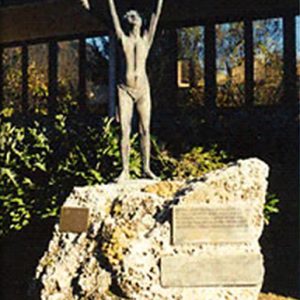 Contro l’uccellagione