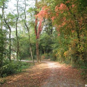 Per il Parco delle Groane