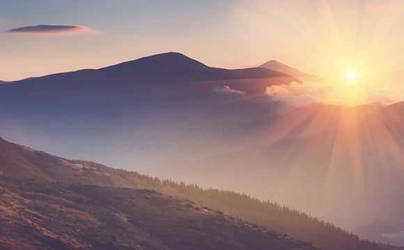 Un nuovo anno con il Gruppo Naturalistico della Brianza Un nuovo anno con il Gruppo Naturalistico della Brianza