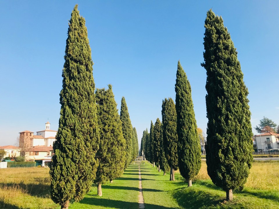 Inverigo