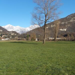 L’area di Scarenna non è solo una strada