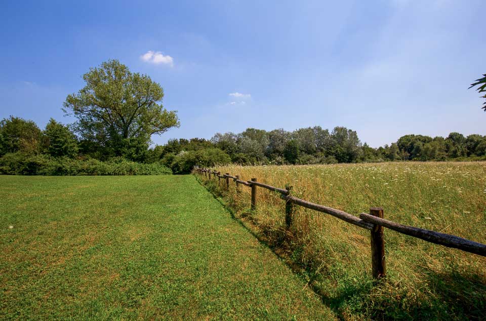 visite-guidate-al-bosco-delle-querce-di-seveso-1204643428